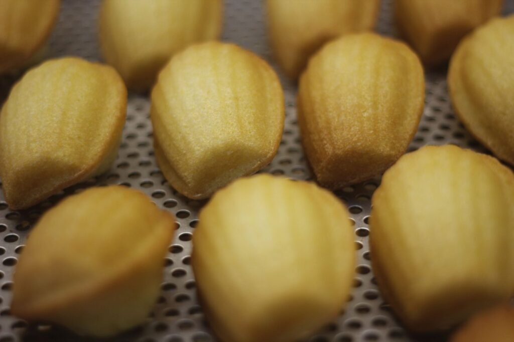Freshly baked golden madeleines, shell side up, cooling on a perforated tray